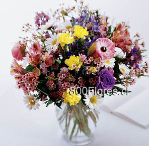 Seasonal Flowers. Send this flowers to CanadaEnvíe estas flores a Canad  