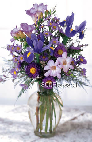 Send this flowers to Canada 
Envíe estas flores a Canad  