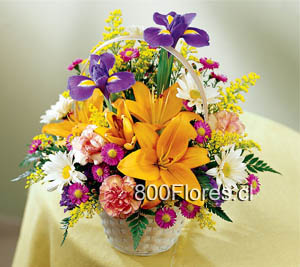 Send this flowers to Canada 
Envíe estas flores a Canad  