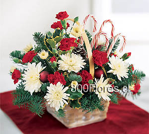 Send this flowers to Canada
Envíe estas flores a Canad 